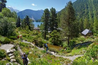 Les jardins botaniques en pleine nature, comme ici, à Champex-Lac (Flore-Alpe) sont de véritables réserves naturelles.